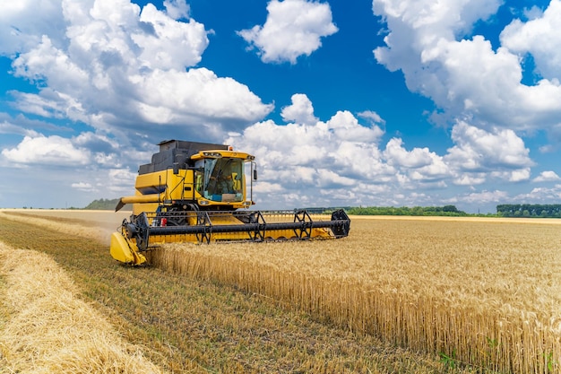 Geweldige maaidorser aan het werk op het veld Landbouwmachine aan de blauwe lucht