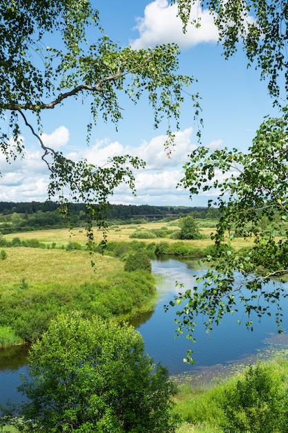 Geweldige rivier die stroomt in de groene velden van Pushkinskiye Gory, Rusland.