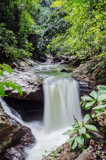 Geweldige waterval in het groene bos Laong Rung-waterval Yala Thailand