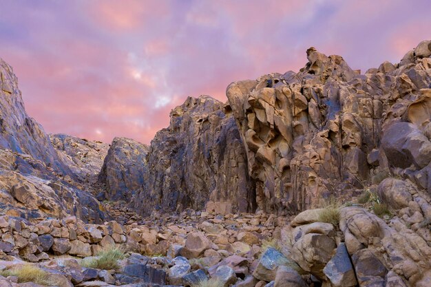 Geweldige zonsopgang op de Sinaï-berg, prachtige dageraad in Egypte, prachtig uitzicht vanaf de berg