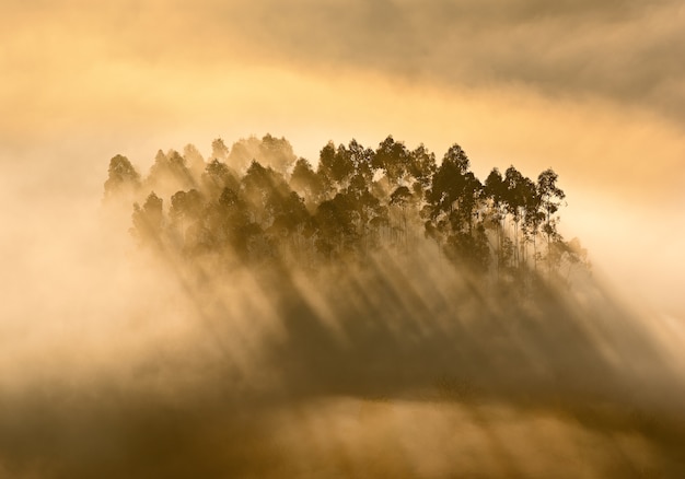 Foto gewikkeld in licht