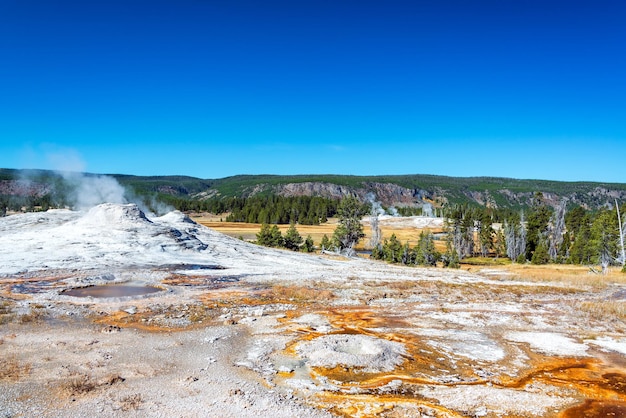 Photo geyser and landscape in yellowstone