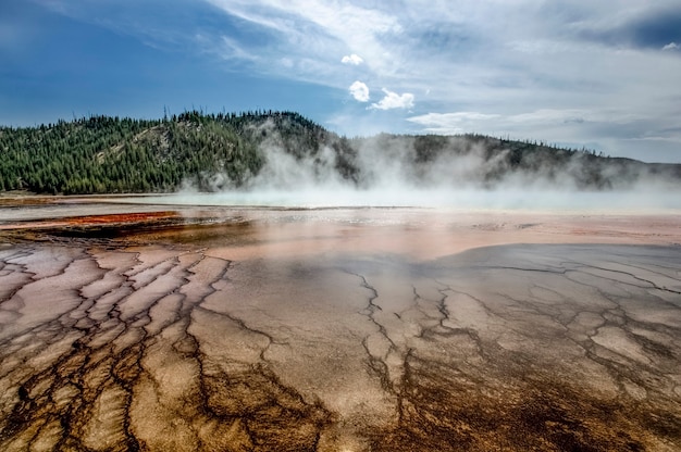 Geyser in Yellowstone National Park. Incredibly beautiful geyser (hot spring) in Yellowstone National Park. Amazing colors. Wonder of the world. Wyoming USA