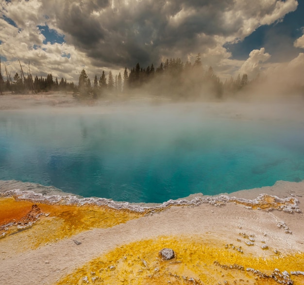 Geyser in Yellowstone