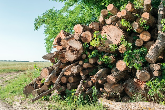 Gezaagd hout buiten met