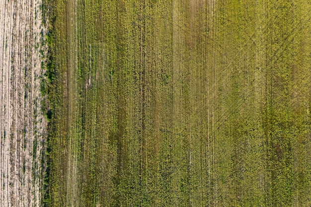 gezaaid agrarisch veld zicht van bovenaf