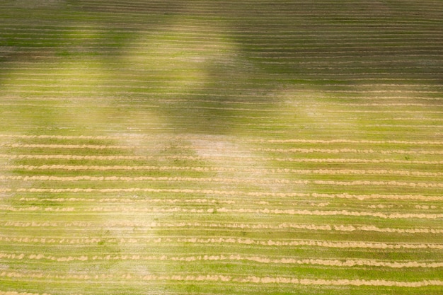 gezaaid landbouwgebied uitzicht van bovenaf