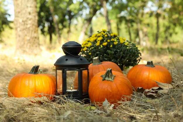 Gezellig herfstconcept met pompoenen en kaars buiten