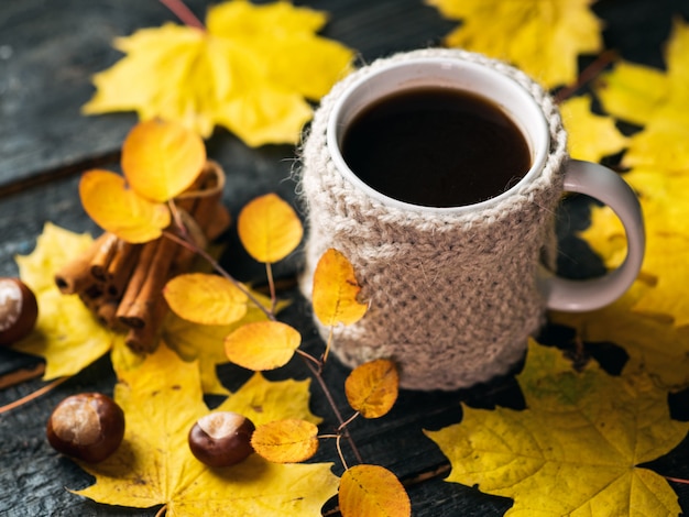 Gezellige herfst- of winterochtend thuis. Mok koffie in een gebreid vest.