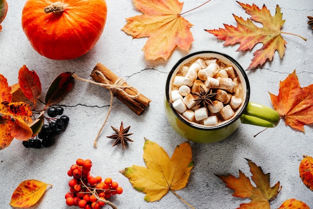 Gezellige herfst warme drank met marshmallow lijsterbessen pompoen en gele esdoorn bladeren