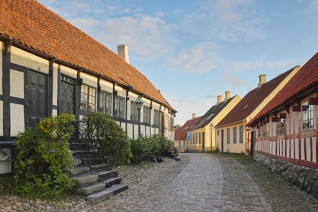 Gezellige mooie straat met oude huizen in denemarken