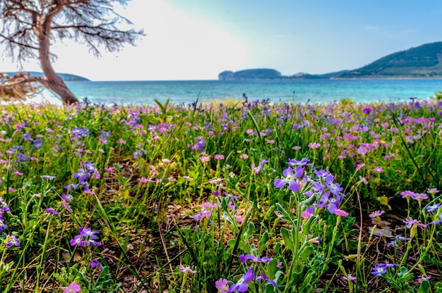 Gezicht op Capo Caccia vanaf het strand van Mugoni