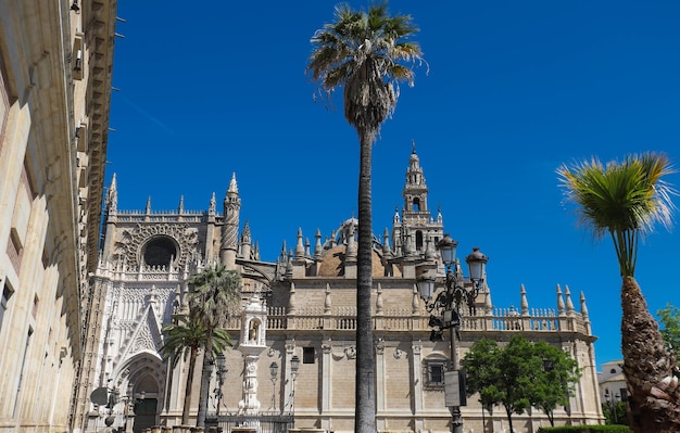 Gezicht op de kathedraal van Sevilla met de Giralda op de achtergrond