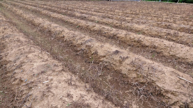 Gezicht op een geploegd veld om te planten