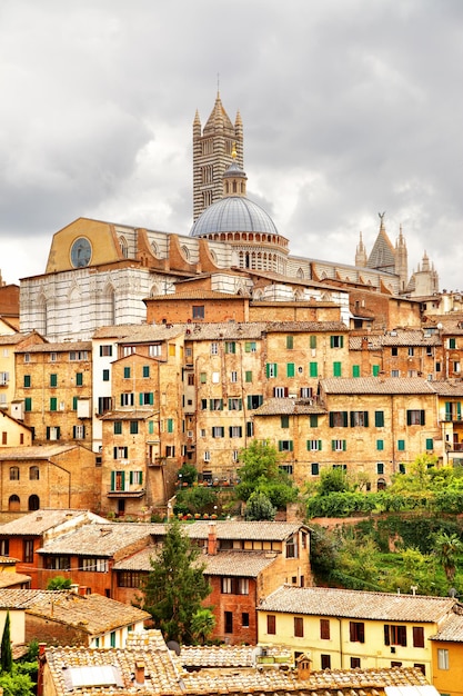 Gezicht op Siena met kathedraal, Italië