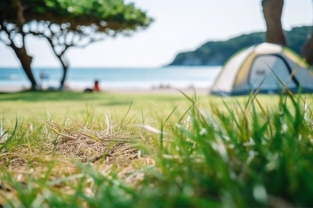 Gezinsvakantie Selectieve focus op het gazon of het groene gras van het kampeerterrein bij het strand