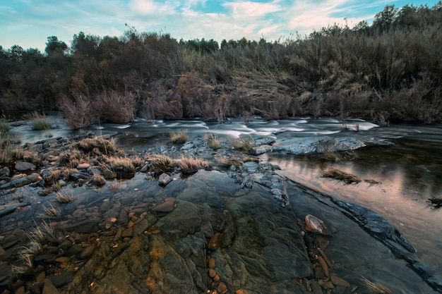 Gezond platteland rivier