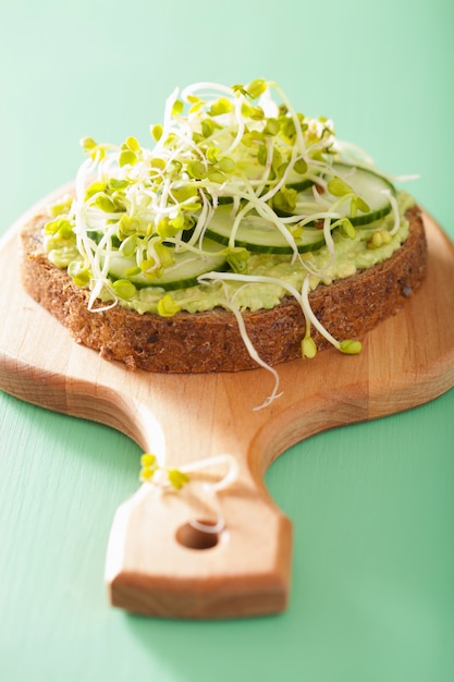 Gezond roggebrood met avocado komkommer radijs spruiten