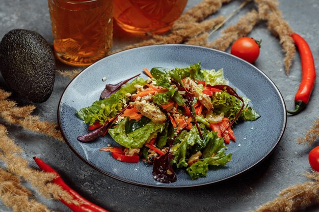 Gezonde biologische frisse salade met tomaten, paprika en kip Masala Gegrilde kipfilets en verse groenten in plaat