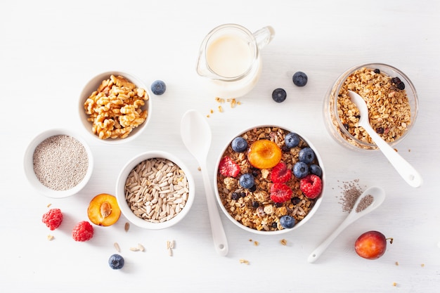 Gezonde granola voor ontbijt met bessennoot, plantenmelk