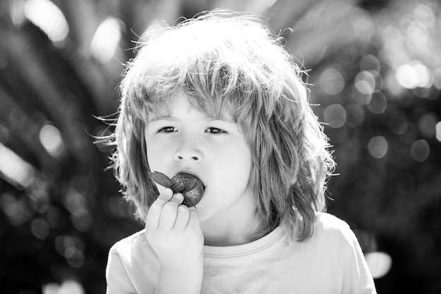 Gezonde kinderen eten kinderen plukken verse biologische aardbeien schattige kleine jongen die een aardbei eet