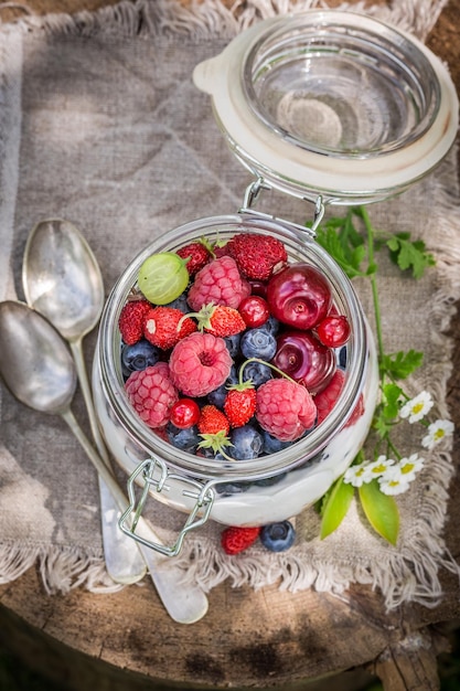 Gezonde muesli met yoghurt en bessen