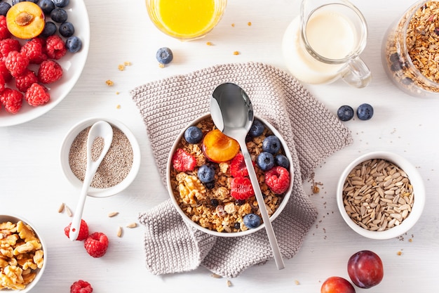 Gezonde muesli voor het ontbijt met bessen, noten, vegan melk