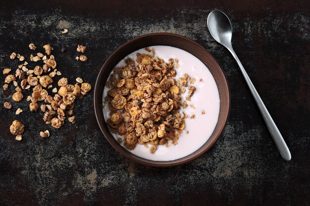 Gezonde ontbijtkom met verse yoghurt en granola. probiotica en gefermenteerde zuivelproducten. ontbijt met probiotica.