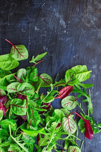 Gezonde salade, bladeren mix salade