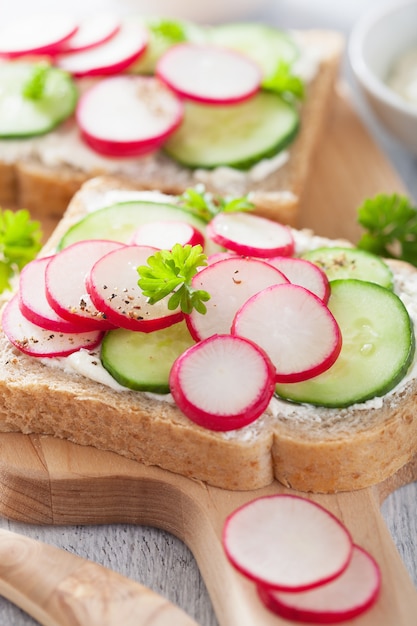 Gezonde sandwich met radijs komkommer en roomkaas