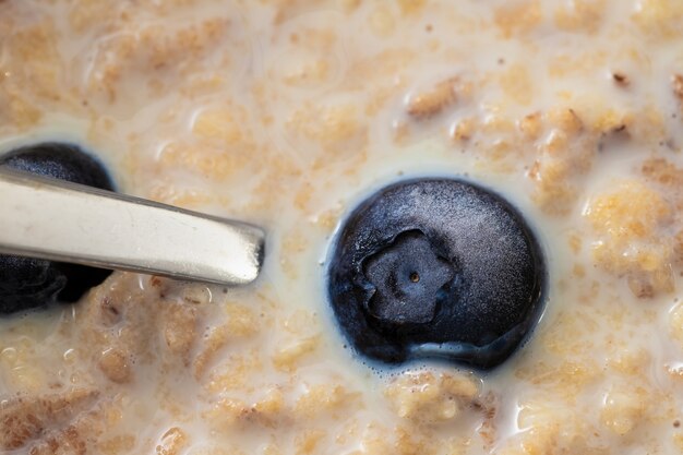 Gezonde tarwevlokken met melk en bosbessen in witte kom