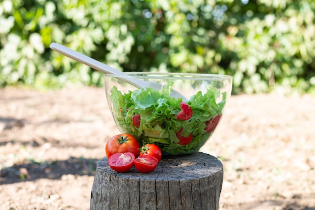 Gezonde verse groene salade in de zomertuin.