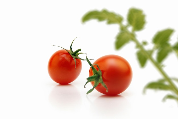 Gezonde verse zoete en heerlijke tomaten