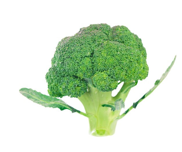 Gezonde voeding voedsel concept - verse groene broccoli geïsoleerd op een witte ondergrond