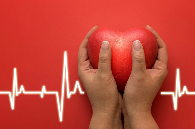 Gezondheid, geneeskunde, mensen en cardiologieconcept - sluit omhoog van hand met klein rood hart en cardiogram op rode achtergrond