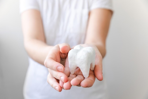 Gezondheid tandheelkundige zorg concept Vrouw hand met witte gezonde tand model geïsoleerd op witte achtergrond Tanden bleken tandheelkundige mondhygiëne tanden restauratie tandarts dag