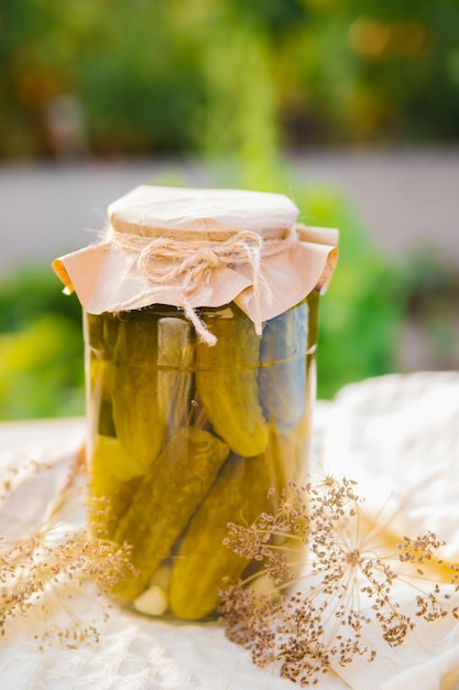 Gezouten gepekelde komkommers in een pot op een houten tafel in de tuin Komkommerkruiden Dille knoflook Conservering behoud Achtergrondkopie ruimte Zonnige heldere dag