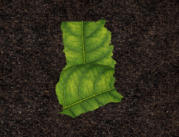 Ghana map made of green leaves on soil background ecology concept