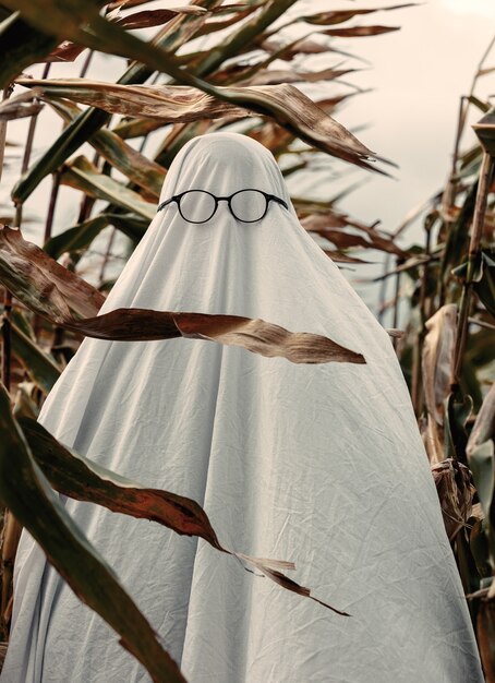 Fantasma con gli occhiali sul campo di grano in autunno