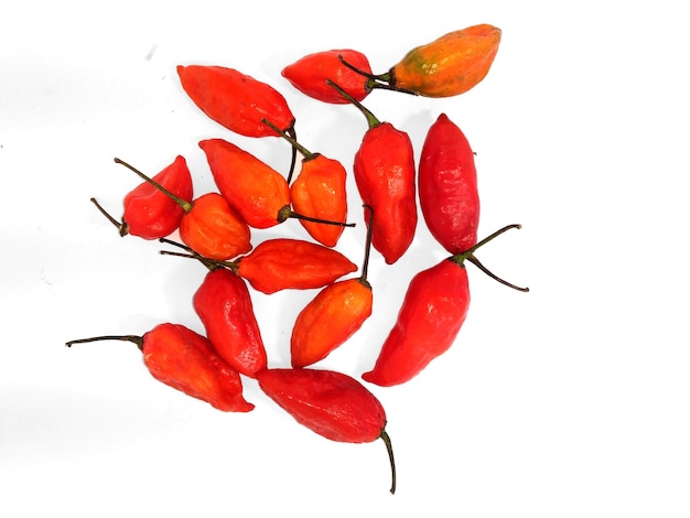 ghost pepper ( bhut jolokia ) isolated on white background.