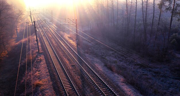 Foto ghostly rails dawns arrivo sui binari della foresta carica di nebbia