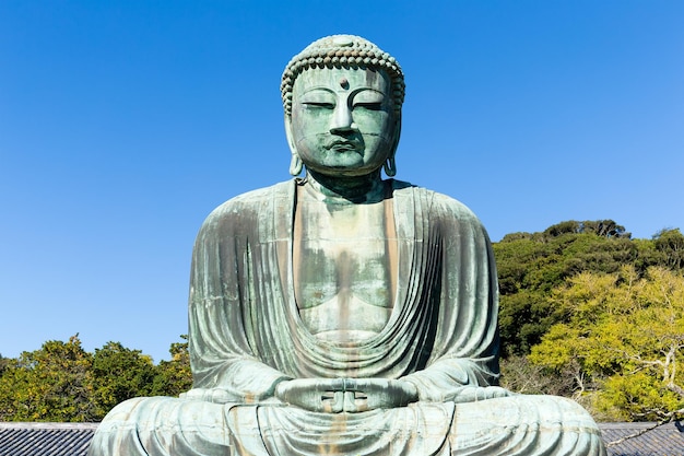 Photo giant buddha in japan