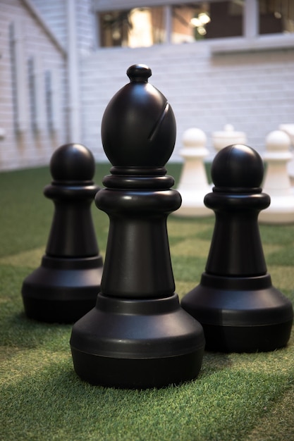 Giant chess pieces for school children to play and learn.