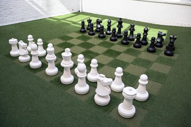 Giant chess pieces for school children to play and learn.