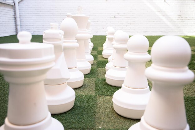 Giant chess pieces for school children to play and learn.