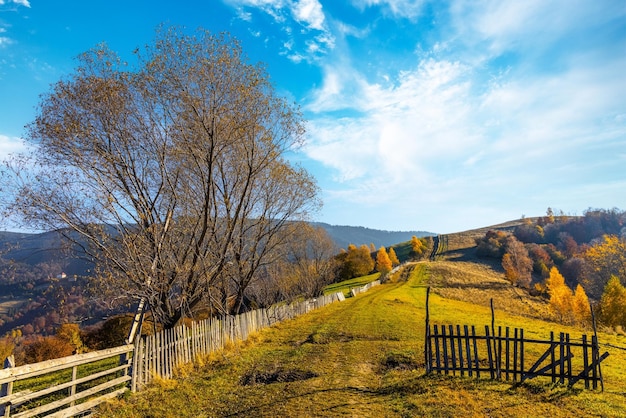 Giant forestry mountains surrounded by heavy fog behind long wooden fence with gate stretching along ground road in highland on autumn day