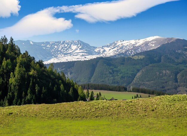 写真 緑の谷の上に雪が積もった巨大な山