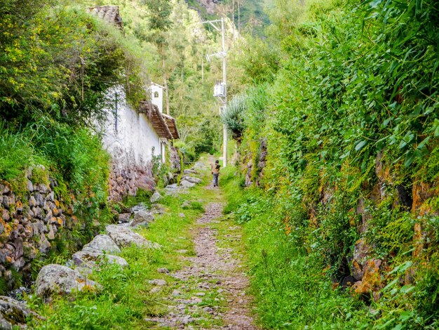 Giant platforms in the town of Yucay Sacred Valley of the Incas Cusco