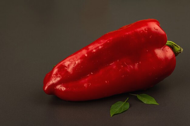 Giant red bell pepper isolated on black stone background. Sweet vegetable, new harvest, fresh ingredient for healthy food. Dark culinary wallpaper, copy space