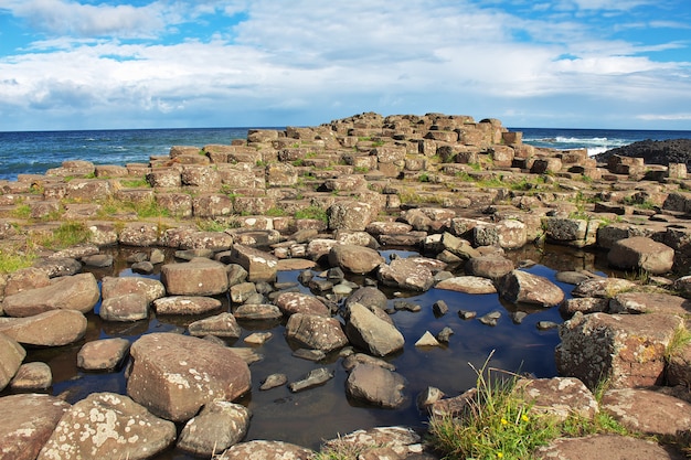 Giant's Causeway, Norten Ierland, Verenigd Koninkrijk